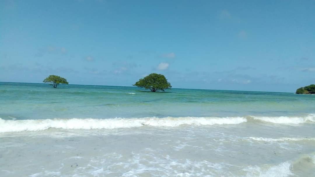 L&J Modern Backpackers Kigamboni Beach House Bed & Breakfast Dar-es-Salaam Eksteriør bilde
