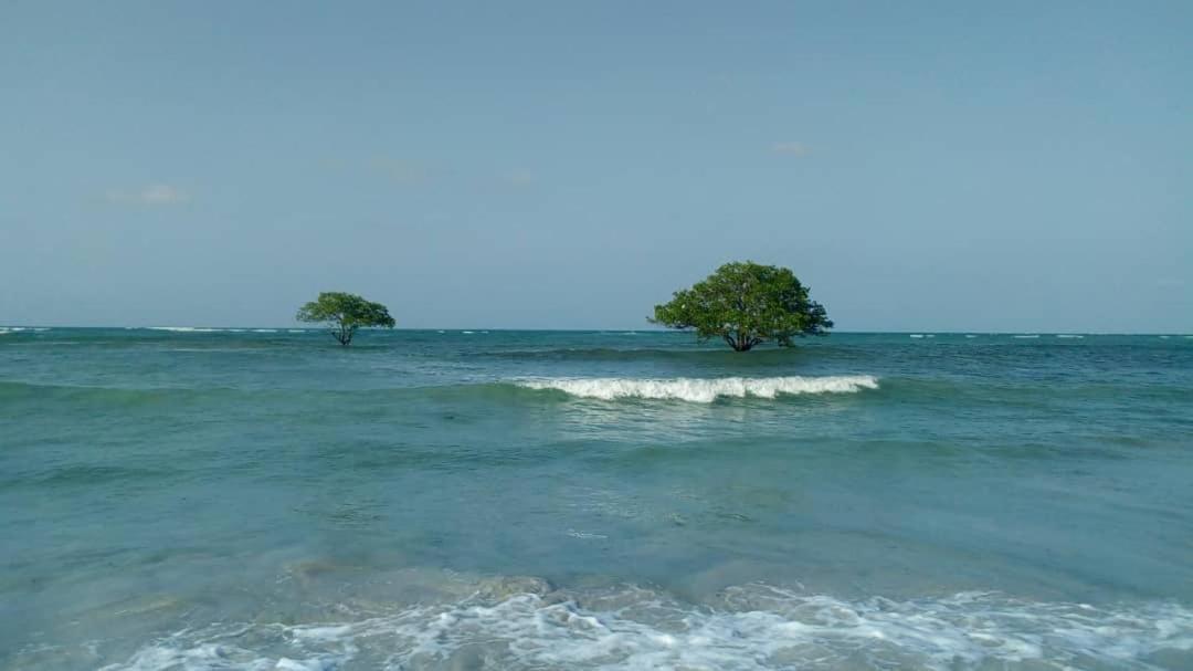 L&J Modern Backpackers Kigamboni Beach House Bed & Breakfast Dar-es-Salaam Eksteriør bilde